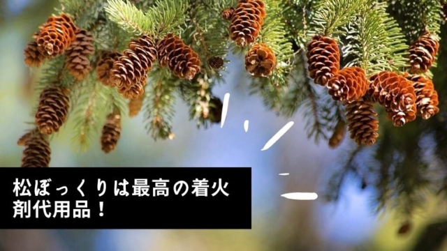 松ぼっくりは最高の着火剤代用品！