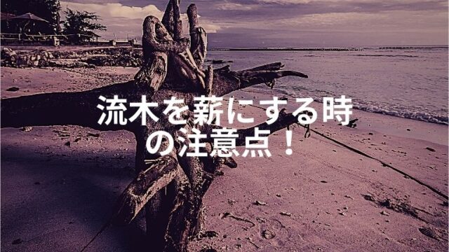 流木を薪に