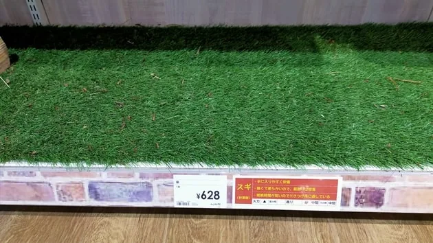 ナフコのキャンプ用品の特設コーナー